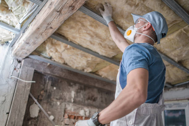 Best Geographic-Specific Insulation Services in Afton, WY