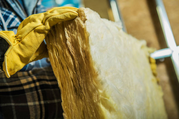 Best DIY Insulation Kits and Guidance in Afton, WY