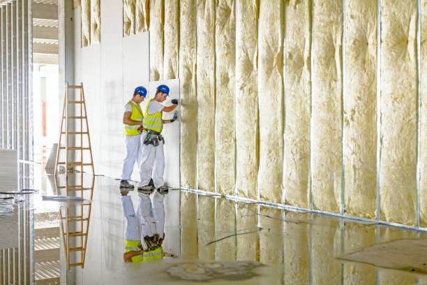 Trusted Afton, WY Insulation Contractor Experts